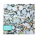 Brandsseller Duschmatte rutschfest 53x53 cm – PVC Duscheinlage mit...