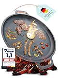 Feuerplatte aus Gusseisen mit Tropfschutz. Ø35cm. Grillplatte Plancha...