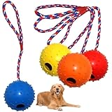 NAMIS 4 Ball mit Schnur Hund, ø 5/30 cm Ball am Seil Naturkautschuk,...