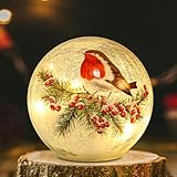 BERSCAH Glaskugel Licht, Crackle LED Nachtlicht, Vogel, roter Fruchtzweig,...