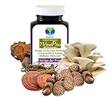 7 BIO Vitalpilze 'Heilpilze' Komplex 120 Kapseln Cordyceps Shiitake...
