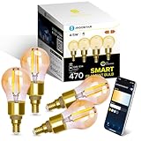 Aigostar Alexa Glühbirne E14, Smart LED Vintage Lampe, Smarte Glühbirne...