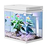 10L Nano Fischtank Aquarium mit LED-Leuchten & Filtersystem,Filtermedien,...