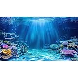 Unterwasser-Szene, Aquarium-Hintergrund unter dem Meer, Korallenriffe,...