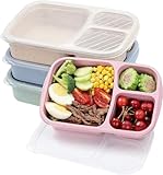 Woplagyreat Brotdose Lunchbox Erwachsene Bento Box 4 Stück Mit Fächern...