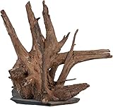 sera Scaper Wood M 18 - 20 cm - Kompaktes Wurzelholz auf Schieferplatte in...