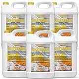 GiDeli Bioethanol 96,6% Geruchlos 30 Liter - Bio Ethanol 6X 5L für...