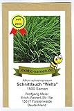 Schnittlauch - Welta - 1500 Samen