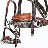 Heinick-Reitsport Profi Leder KAPPZAUM Edelstahl mit Gebissriemen...