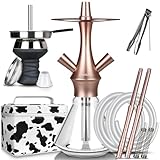 IVANAVI Mini Shisha Set 2 Schläuche 2 Anschlüsse | Klein Shisha...