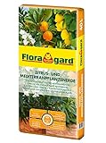 Floragard Zitrus-und Mediterranpflanzenerde 40 Liter - Zitruspflanzenerde -...