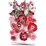 15 Verschiedene Arten von 37 Stück Rosa Getrockneten Gepressten Blumen...