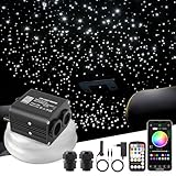 SUNKENET 20W Twinkle Sternenhimmel Auto, 650pcs*0.75mm*3m Sternenhimmel...