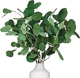 Oning Eukalyptus Getrocknet für Deko, 7-10 Pcs Natürliche Echt...