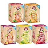 Teekanne Cold & Fresh Bio Eistee 5er Set: Hibiskus-Himbeere, Zitrone-Minze,...