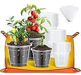 ZQEJEFD 30 Stück Klare Anzuchttöpfe mit Pflanzmatte, Klare...