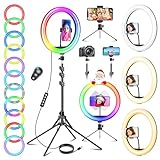 12 Zoll Ringlicht mit Stativ Handy, Tisch LED Ring Light Kamera...