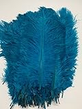 ADAMAI Straußenfedern, natürlich, 24,9–30 cm, für Hochzeit,...
