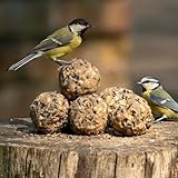 CJ Wildlife - Premium Meisenknödel 6st - Energiereiches Vogelfutter - Von...