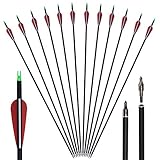 Huntingdoor 12er Pack 30 Zoll Carbonpfeile Jagdpfeile mit Vanes und...