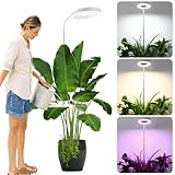 Pflanzenlampe LED Vollspektrum, Grow Lampe für Zimmerpflanzen, 72 LEDs...