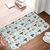 Maschinenwaschbar Polyestermatte Schmutzfangmatte Türmatte 40×60cm für...