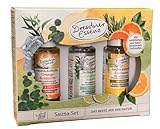 Dresdner Essenz Sauna-Set 3x20ml Sauna-Aufguss Orange Rosmarin Eukalyptus...