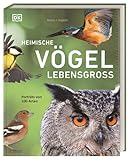 Heimische Vögel lebensgroß: Porträts von 100 Arten. Umfassendes...