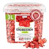 Detox Organica GEFRIERGETROCKNETE ERDBEEREN, 300g Früchte in Scheiben,...