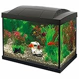 SF Goldfisch Start Set 20 schwarz inkl. LED Lampe, Innenfilter,...