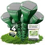 HEIMWERT Maulwurf Vertreiber Wühlmausschreck - SCHNELLE Ergebnisse mit KI...