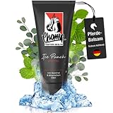 CHAMP Ice-Punch Sportgel - Pferdesalbe Muskelgel gegen Muskelkater und zur...