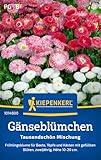 Kiepenkerl Gänseblümchensamen Tausendschön Mischung 1014800 -...