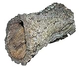 Dehner Terra Terrariendeko, Korkröhre, Größe L, ca. Ø 20-30 cm, Breite...