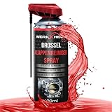 WerkXheld Drosselklappenreiniger Diesel & Benzin | AGR Reinigungsmittel,...