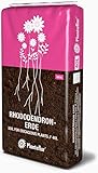 HaGaFe Plantaflor Rhododendronerde Moorbeeterde Blumenerde Erde 40 Liter...
