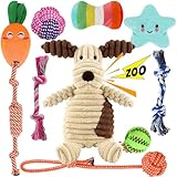Kapetgo Hundespielzeug, Welpenspielzeug ab 8 Wochen, interaktives...