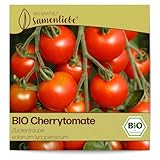 Samenliebe BIO Cherrytomaten Samen Zuckertraube besonders süße...