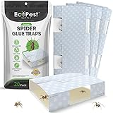 Spinnenfalle – 20er-Pack | Klebefallen für den Innenbereich für Spinnen...