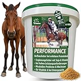 Sojaschrot Pferd - Aufbaufutter Pferd mit Vitamin E Aminosäuren B-Vitamine...