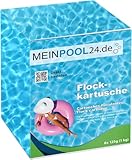 Meinpool24.de 1 kg Flockkartuschen Flockungs-Kartuschen für kristallklares...