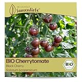 Samenliebe BIO Cherrytomaten Samen alte Sorte Black Cherry süß fruchtige...