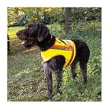 Reflektorweste für Hunde, Hunde-Warnweste AKAH Größe 1 für Teckel:...