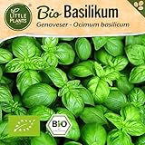 Little Plants BIO Basilikum Samen 500 Basilikumsamen Genoveser...