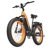 LANKELEISI MG600 Plus E Bike Damen 26 Zoll Tiefeinsteiger Fat Bike...