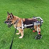 Cora Pet Hund Rollstuhl Einstellbare Gehhilfe Hundegehilfe Rollwagen 2...