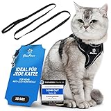 Blue Pawz Katzengeschirr mit Leine - 170cm | Katzengeschirr ausbruchsicher...