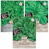 Wintergemüse Samen Set | 3 Bewährte Sorten | Frosthart | Feldsalat Samen...