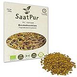 250g BIO Keimsprossen Bockshornklee Samen Sprossenanzucht Kressesamen...