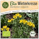 Little Plants BIO Winterkresse Samen 1000 Winterkressesamen Kräutersamen...